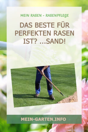 Das BESTE für perfekten Rasen ist? ...Sand!