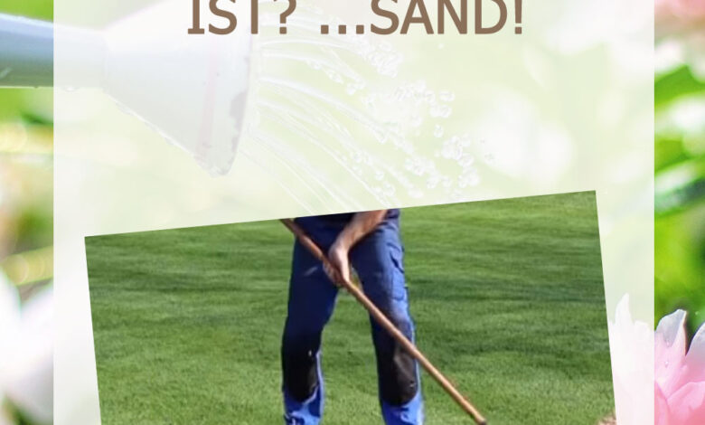 Das BESTE für perfekten Rasen ist? ...Sand!