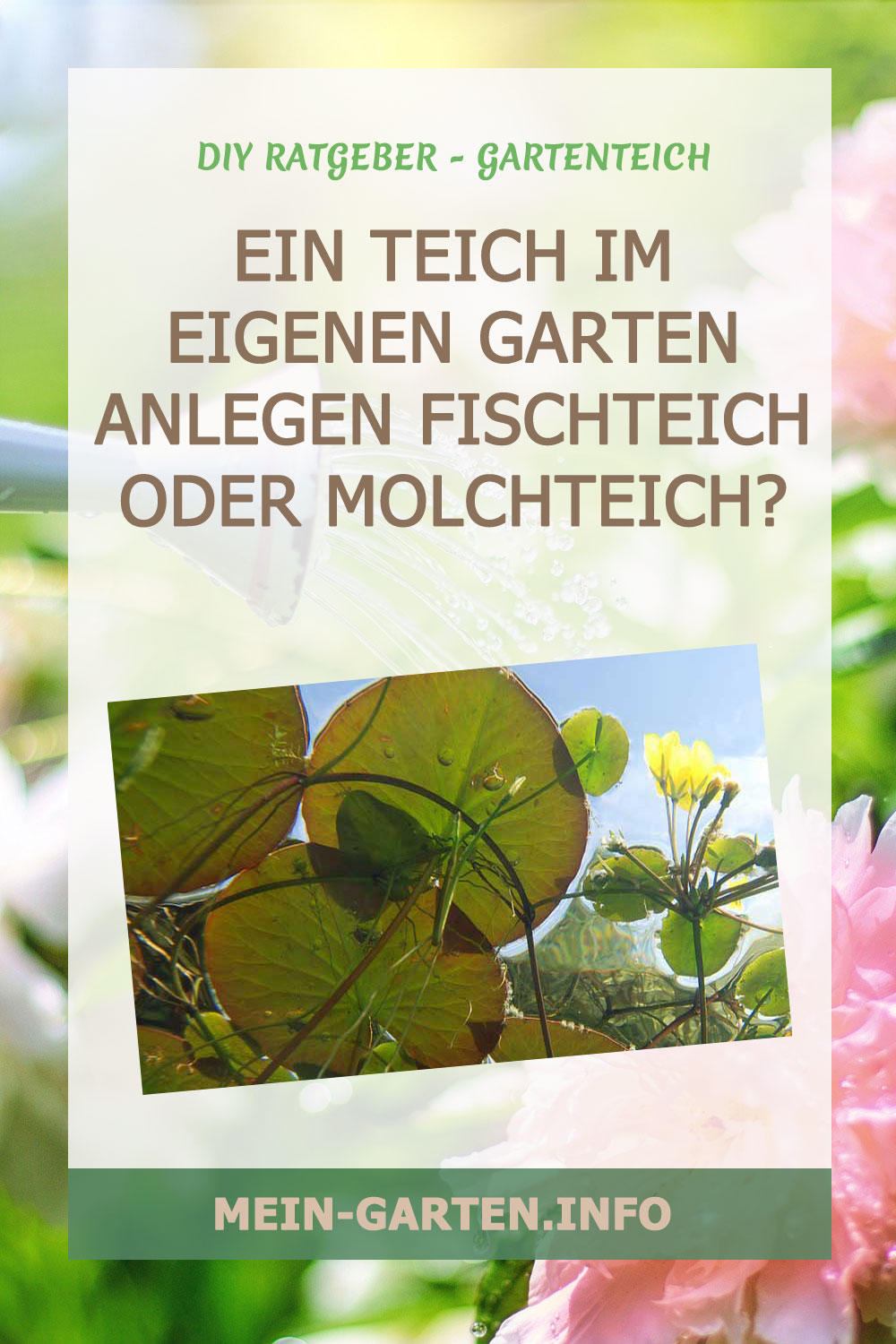 Ein Teich im eigenen Garten anlegen Fischteich oder Molchteich?