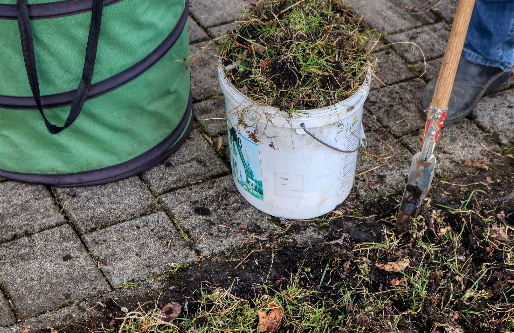 Frühling: Die beste Zeit für leichtes Vertikutieren durch Harken