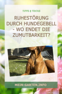 Ruhestörung durch Hundegebell – Wo endet die Zumutbarkeit?