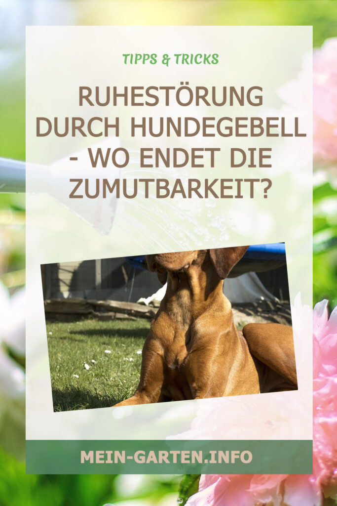 Ruhestörung durch Hundegebell - Wo endet die Zumutbarkeit?