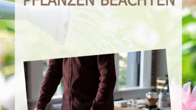 Was muss man versenden von Pflanzen beachten