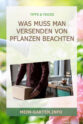 Was muss man versenden von Pflanzen beachten