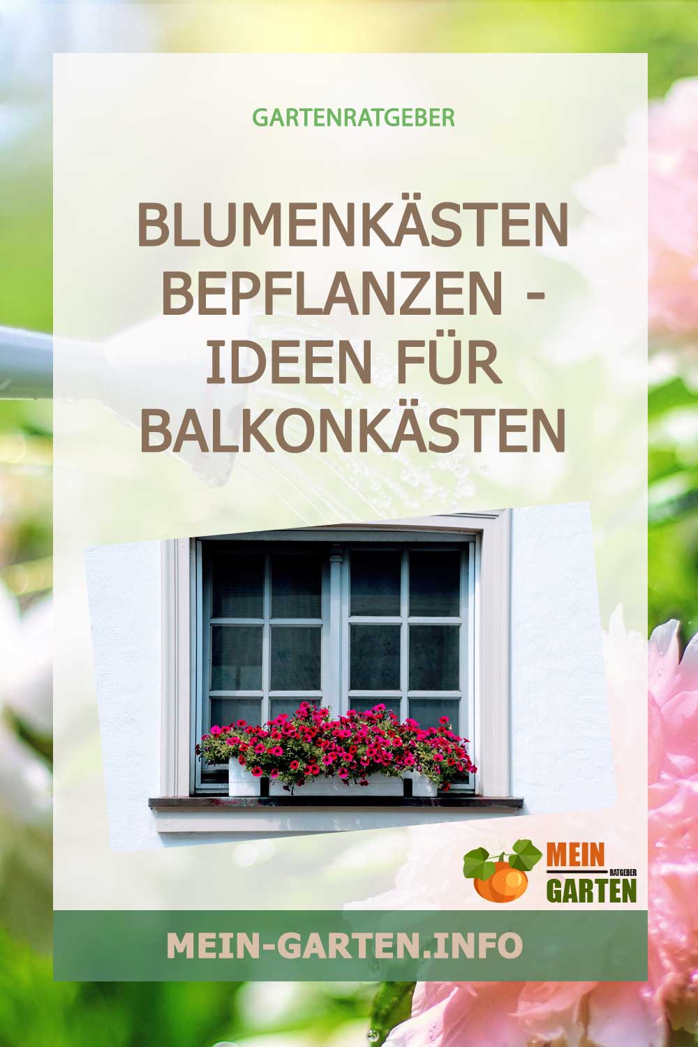 Blumenkästen bepflanzen – Ideen für Balkonkästen