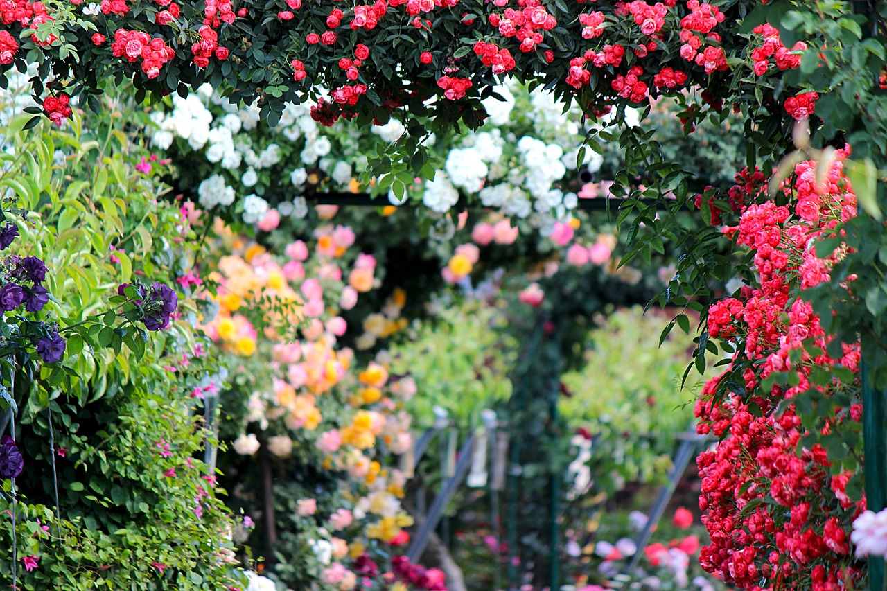 Einen typisch englischen Cottage Garten anlegen