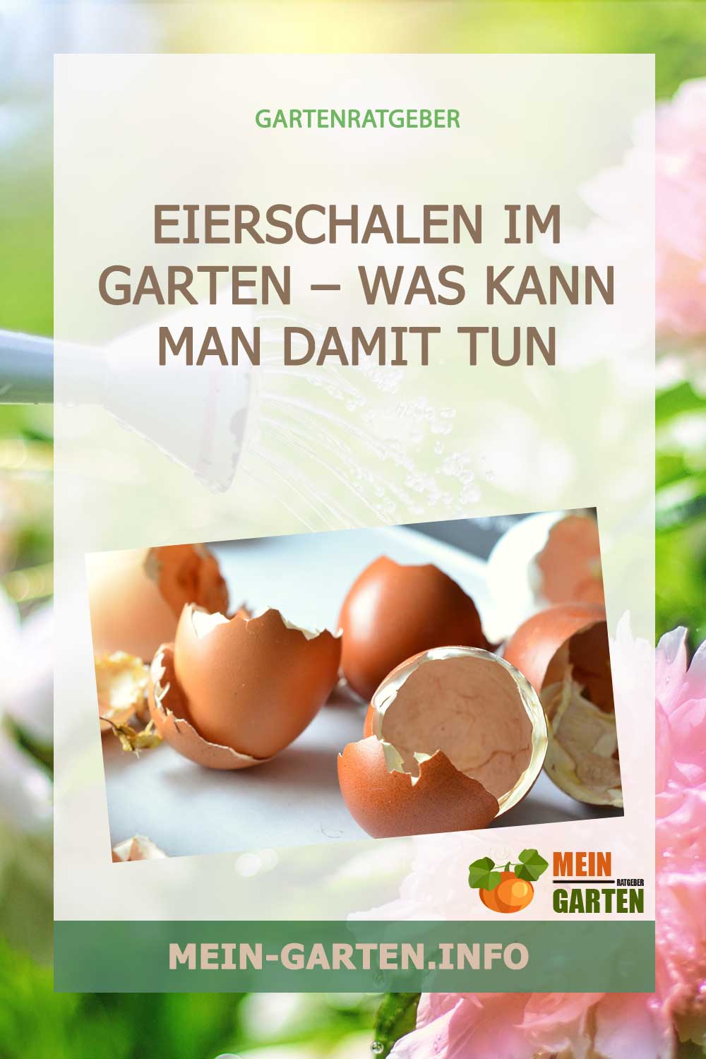 Eierschalen im Garten – Was kann man damit tun