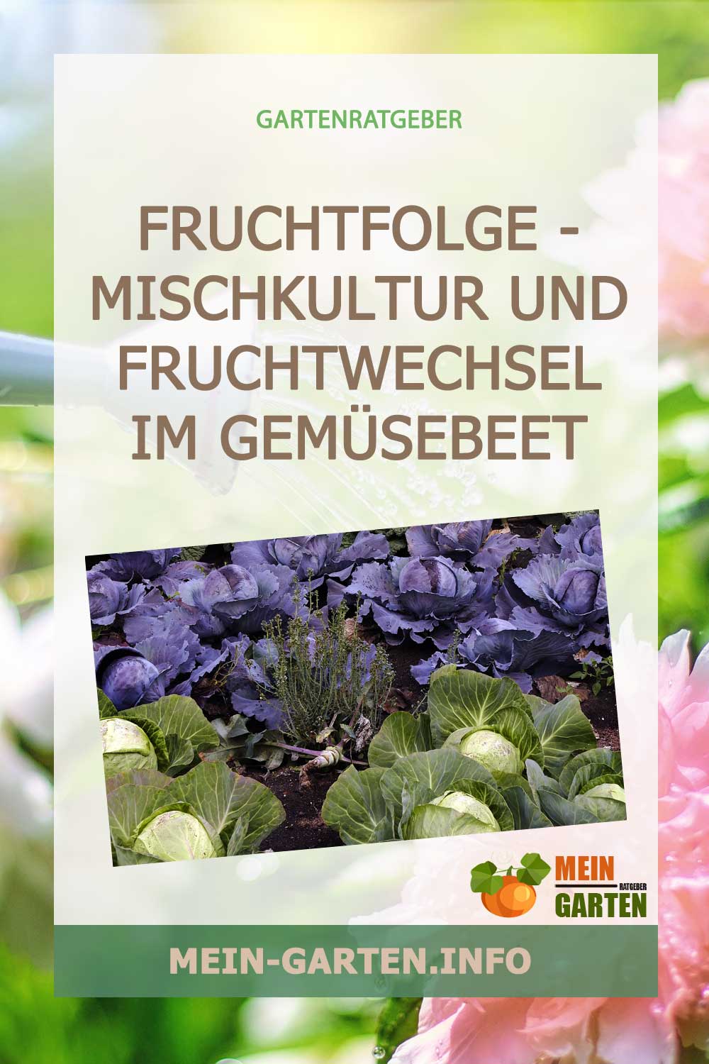 Fruchtfolge – Mischkultur und Fruchtwechsel im Gemüsebeet