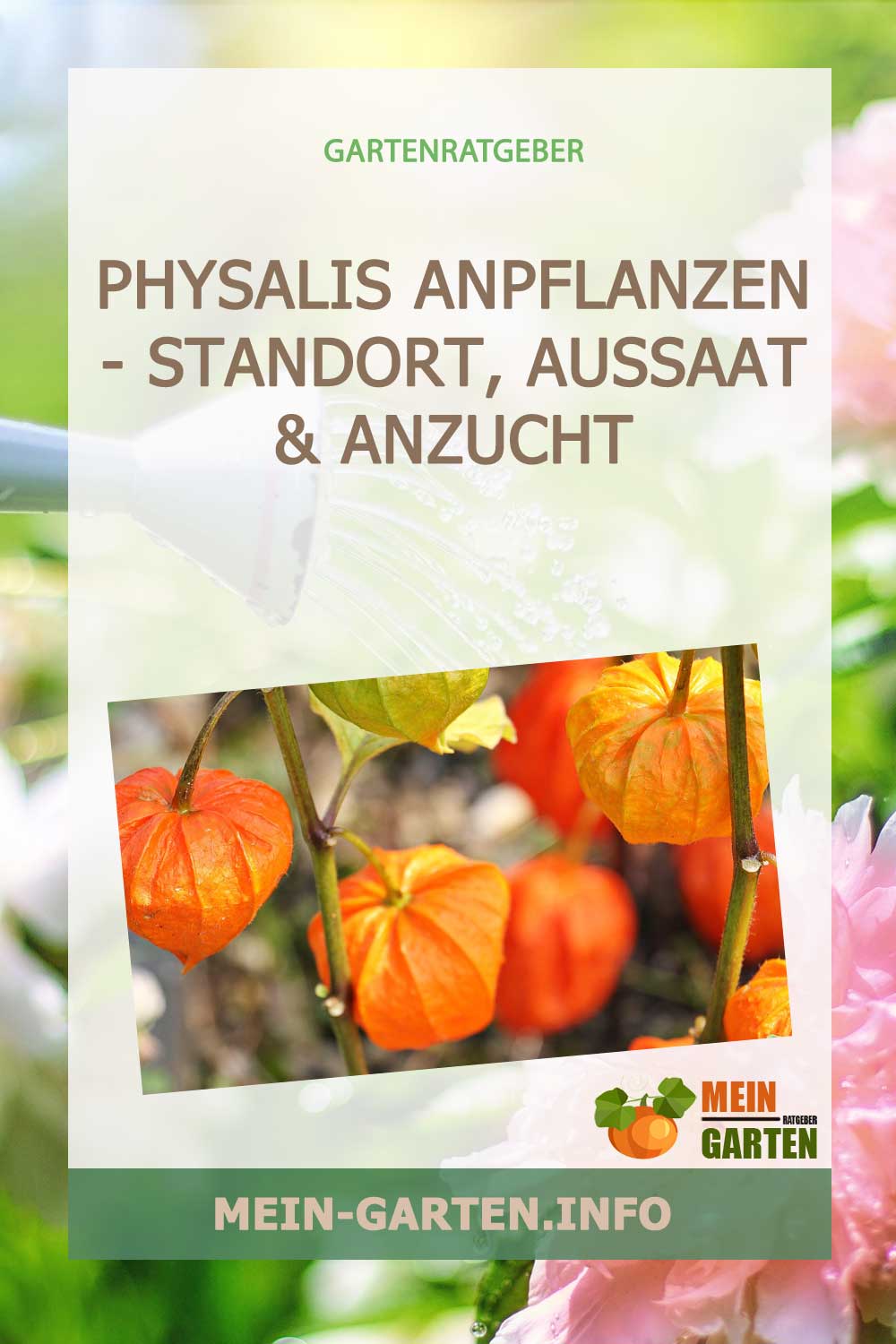 Physalis anpflanzen – Standort, Aussaat & Anzucht