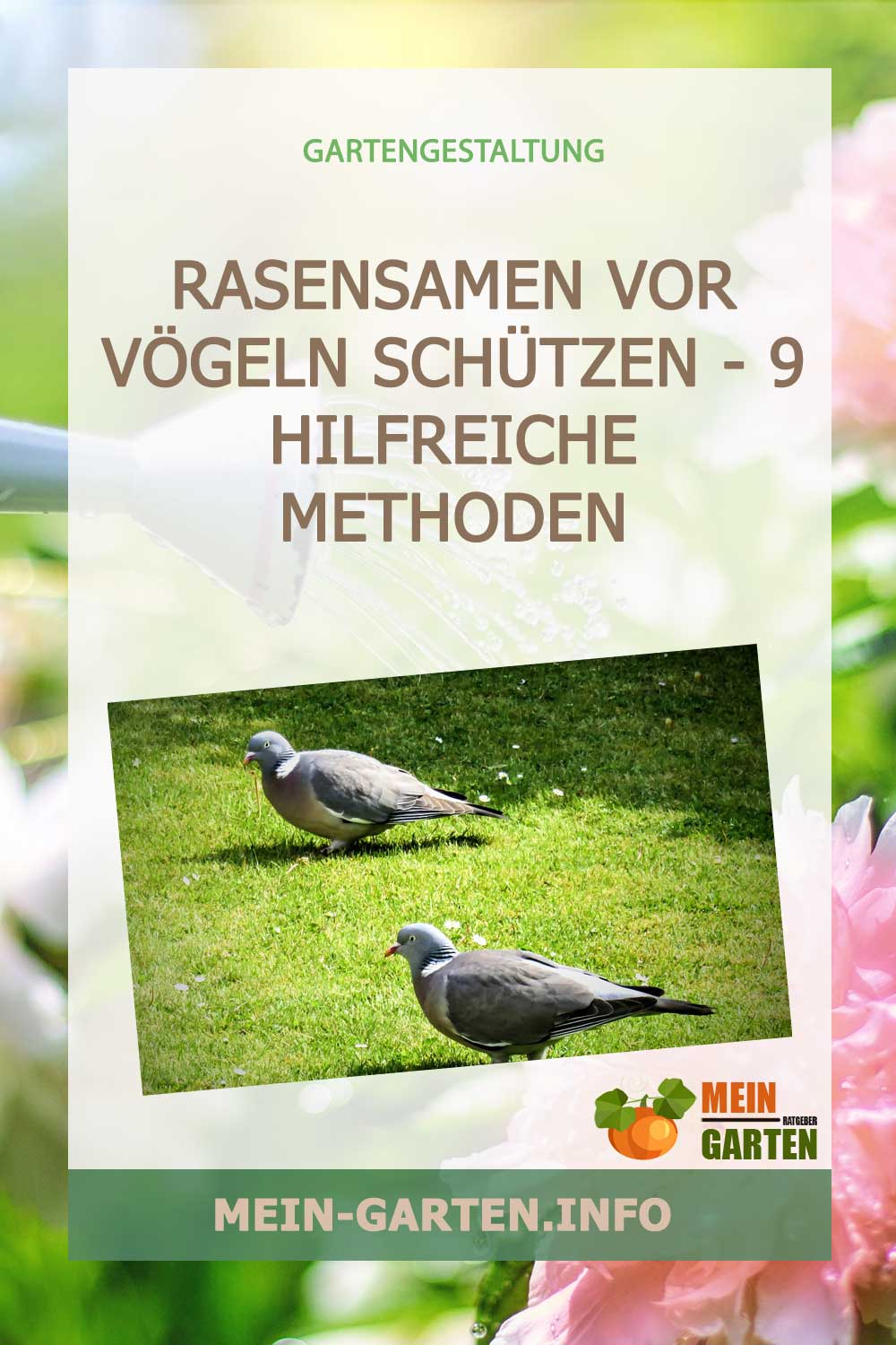 Rasensamen vor Vögeln schützen – 9 hilfreiche Methoden