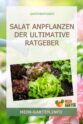 Salat anpflanzen - Von der Aussaat, Pflege bis zur Ernte