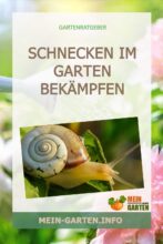 Schnecken im Garten bekämpfen