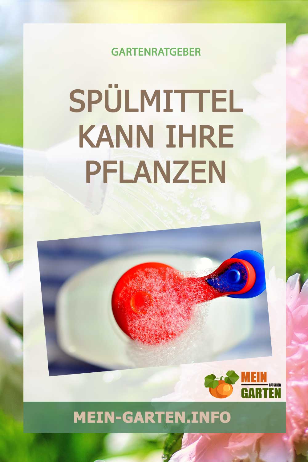 Spülmittel kann Ihre Pflanzen schädigen
