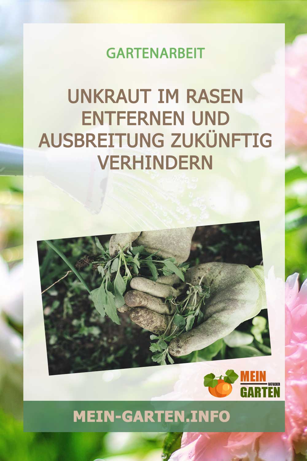 Unkraut im Rasen entfernen und zukünftig Ausbreitung verhindern