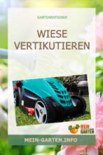 Wiese vertikutieren - Zeitpunkt, Anleitung und mögliche Risiken