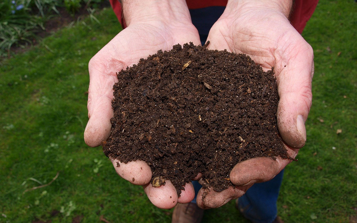 Kompost Beschleuniger – Tipps für schnelleres Kompostieren