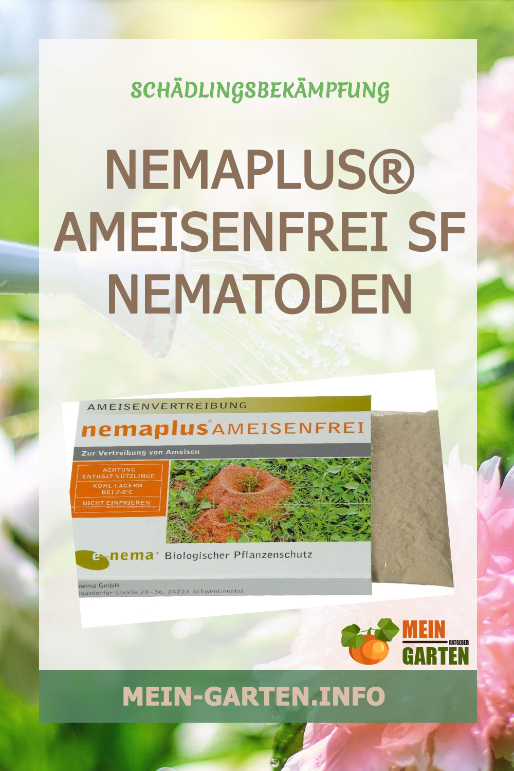 Nemaplus Ameisenfrei Sf Nematoden Gunstig Kaufen