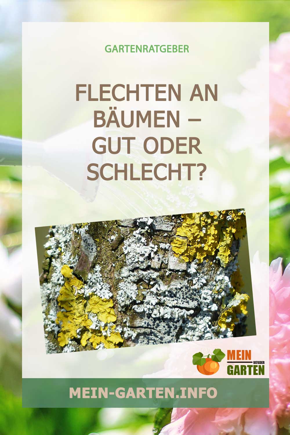 Flechten an Bäumen – Gut oder Schlecht?