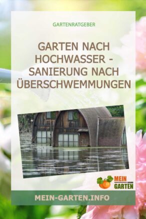 Garten nach Hochwasser - Sanierung nach Überschwemmungen