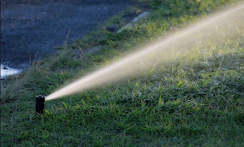 Wie man ein automatisches Bewässerungssystem für den Garten einrichtet
