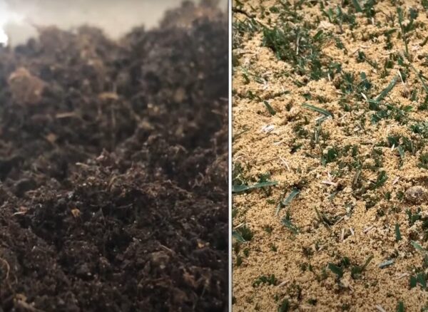 Rasen Topdressing - So geht es richtig
