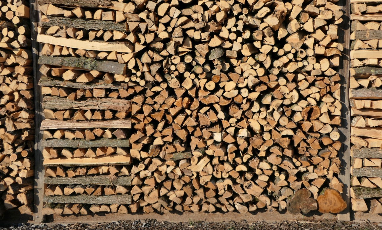 Schimmel im Brennholz - Was tun gegen die Feuchtigkeit?
