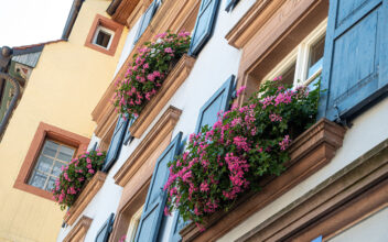 Blumenkästen bepflanzen - Ideen für Balkonkästen