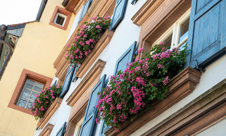 Blumenkästen bepflanzen - Ideen für Balkonkästen