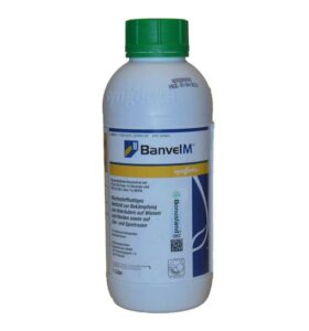 Banvel M – Test und Erfahrungen mit dem Unkrautvernichter