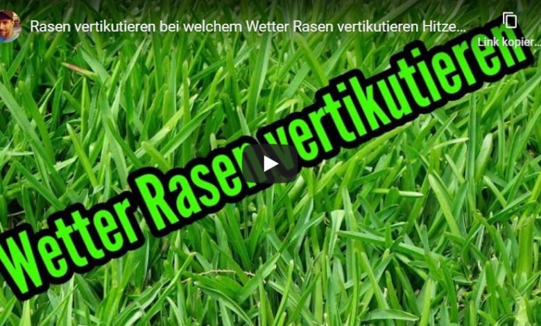 Bei welchem Wetter Rasen vertikutieren - Was ist bei Regen