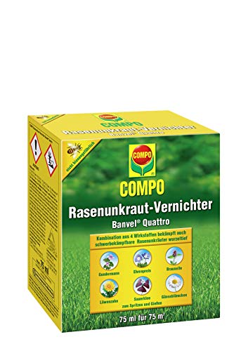 COMPO Rasenunkraut-Vernichter Banvel® M Ratgeber