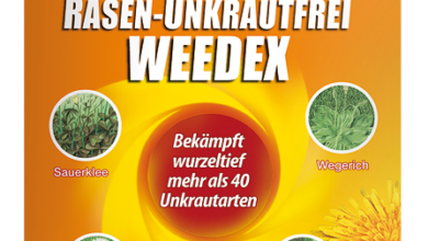 Celaflor Rasen-Unkrautfrei Weedex Testbericht und Anwendung