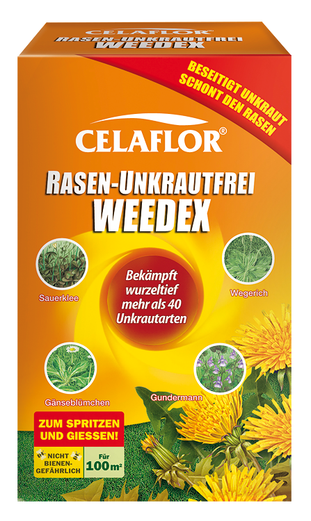 Celaflor Rasen-Unkrautfrei Weedex Testbericht und Anwendung