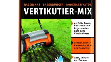 Compo Saat-Vertikutier-Mix Rasenpflege Erfahrungen & Test