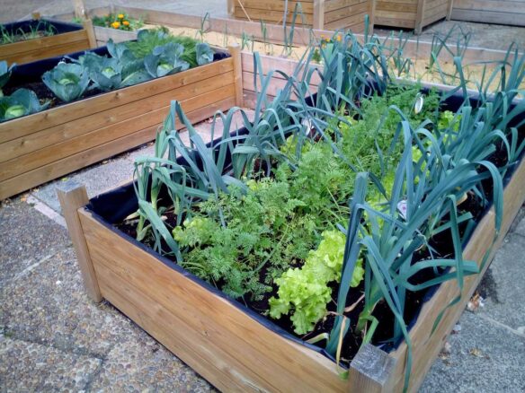 DIY: Hochbeet befüllen - So wird´s gemacht [Bildinhalt mit KI erstellt]