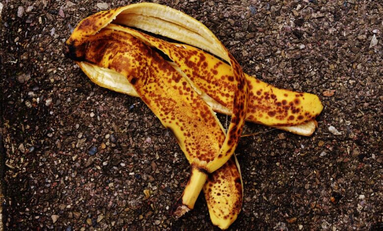 Die magische Kraft von Bananenschalen im Garten - oder auch nicht