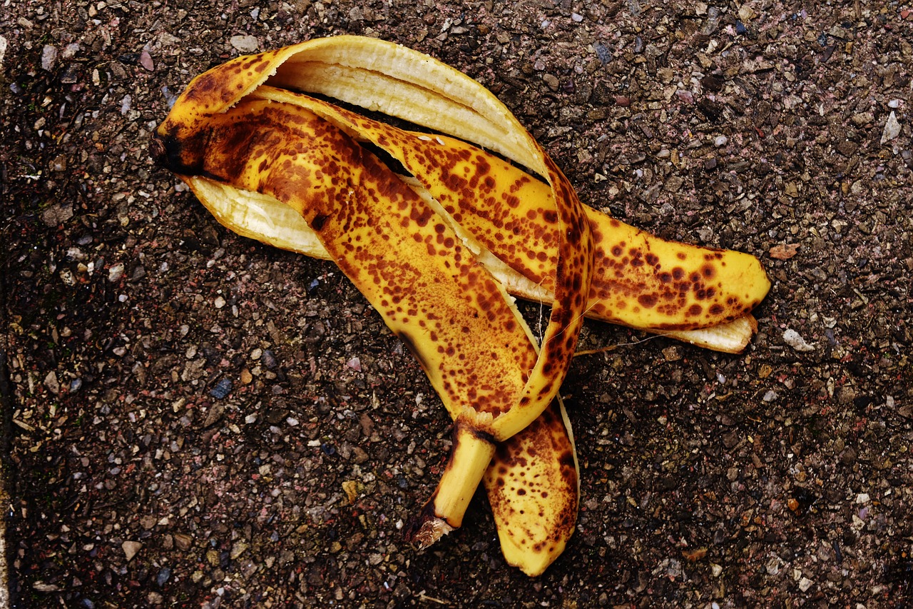 Die magische Kraft von Bananenschalen im Garten – oder auch nicht