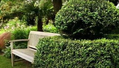 Garten anlegen und planen - Ideen & Gestaltungstipps