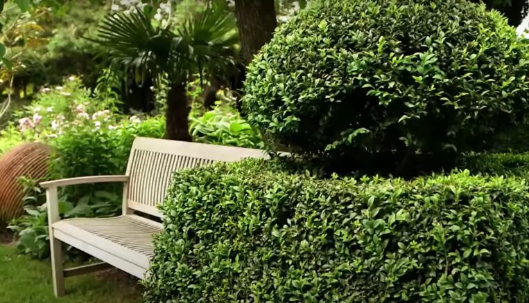 Garten anlegen und planen - Ideen & Gestaltungstipps