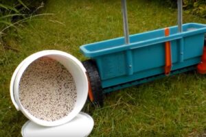 Gartenarbeit Frühjahr: Wie Rasen düngen? So wird's richtig gemacht!