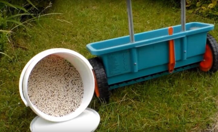 Gartenarbeit Frühjahr: Wie Rasen düngen? So wird's richtig gemacht!