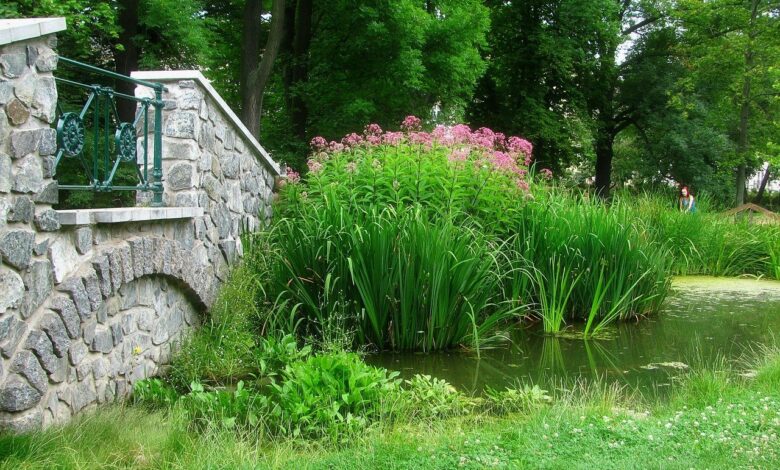 Gartengestaltung Beispiele für einen schönen Garten