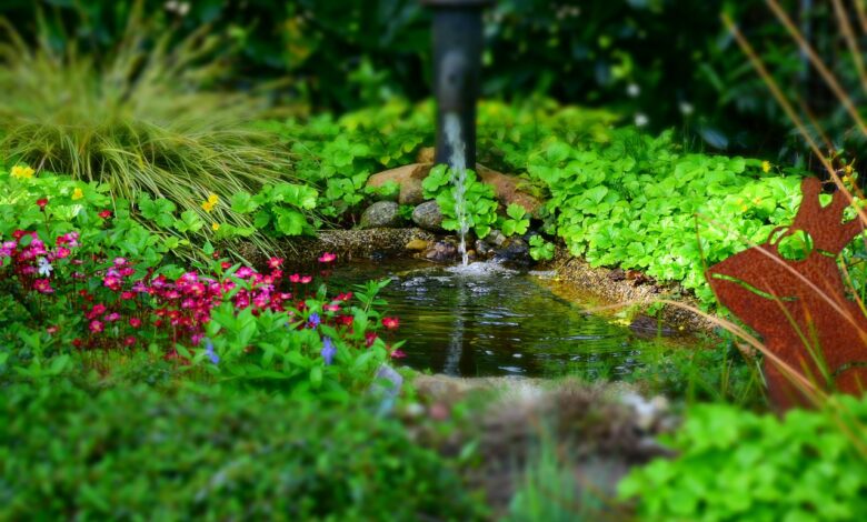Gartenteich - So legen Sie einen Folien-Teich an