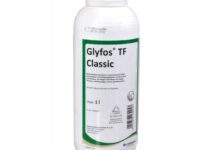 Glyfos TF Classic Test und Dosierung