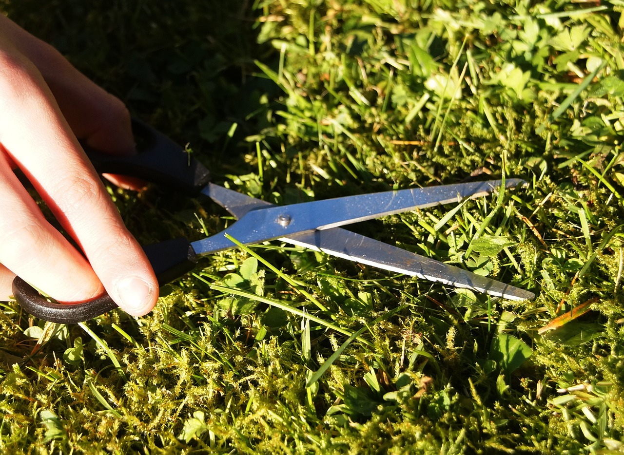 Gras schneiden ohne Rasenmäher – 6 Tipps und Tricks