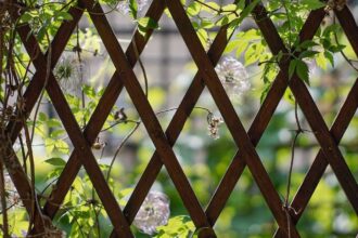 Rankgitter Holz - Spaliere als Rankhilfe
