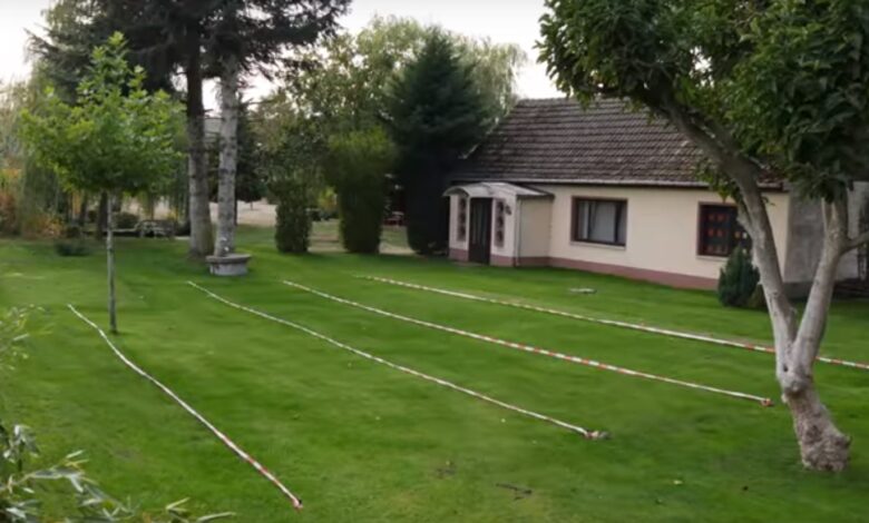 Rasen Neu anlegen ohne Unkraut- 3 Rasensorten im über 1 Jahr Langzeit-Test