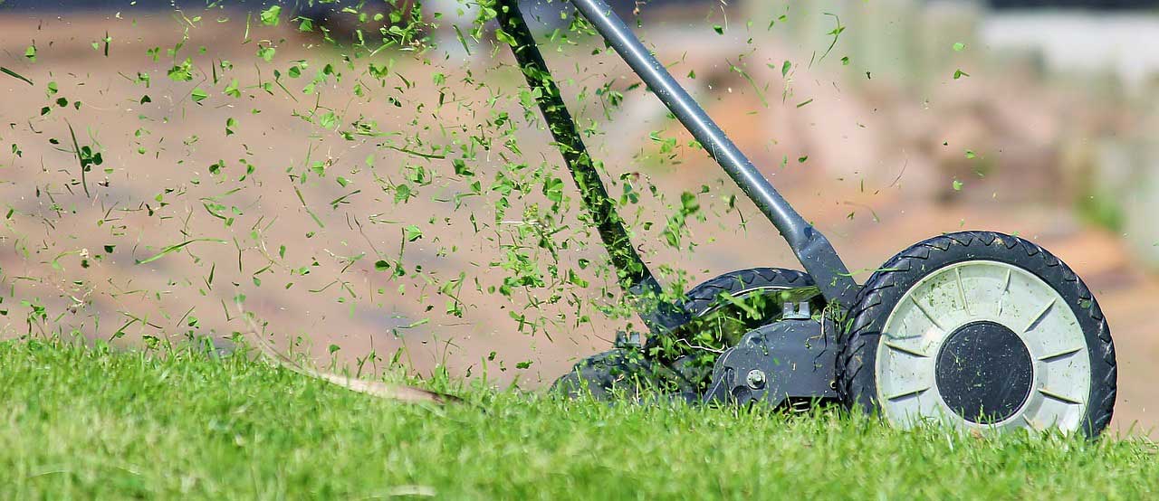 Rasen mähen – Die komplette Anleitung und Tipps