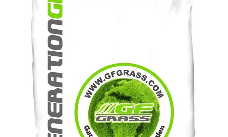 Rasensamen Nachsaat GF Regeneration Grass Test