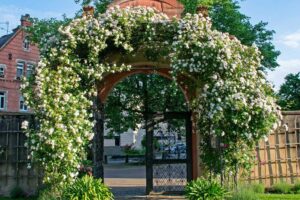 Rosenbogen mit Tür - aus Eisen
